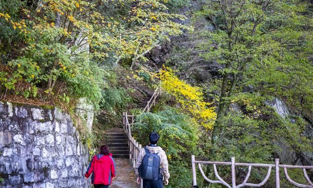 吃货的狂欢节，鲁山美食烤鸡子、羊杂可、八大碗、揽锅菜齐聚尧山