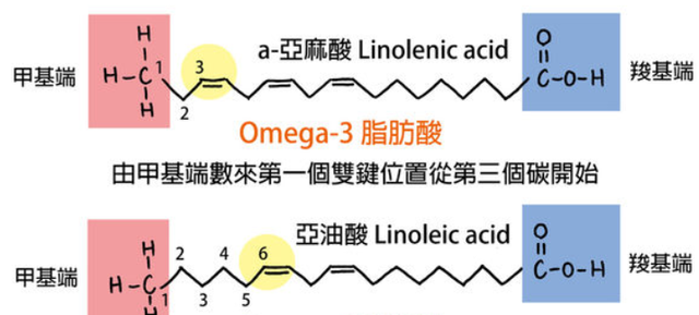 玫瑰果油到底有没有用？