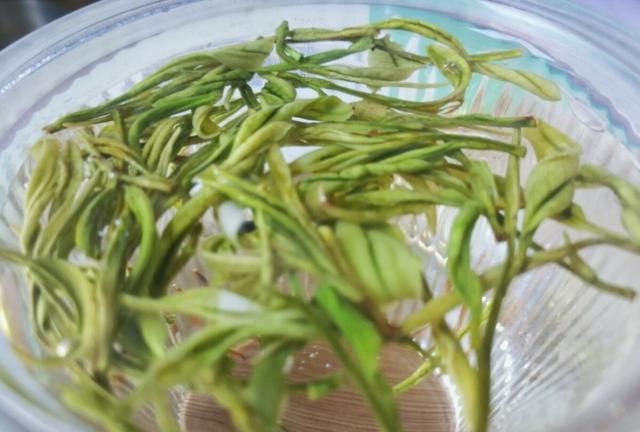 春茶哪个时节的比较好吃图5