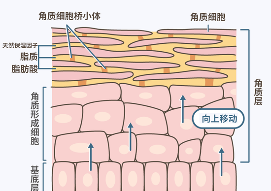 号称“十年磨一剑”的兰蔻小黑瓶2.0代，智商税还是黑科技？