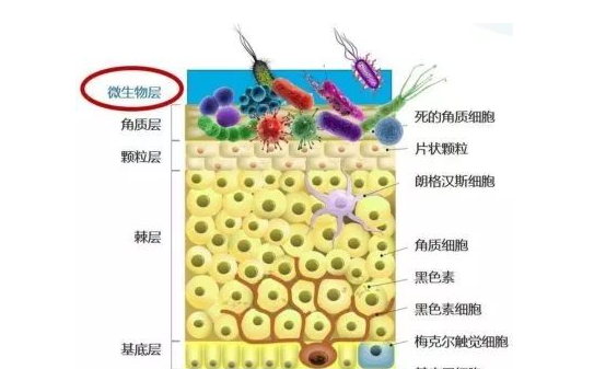 号称“十年磨一剑”的兰蔻小黑瓶2.0代，智商税还是黑科技？