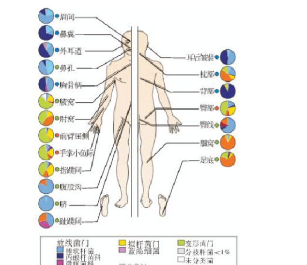 号称“十年磨一剑”的兰蔻小黑瓶2.0代，智商税还是黑科技？