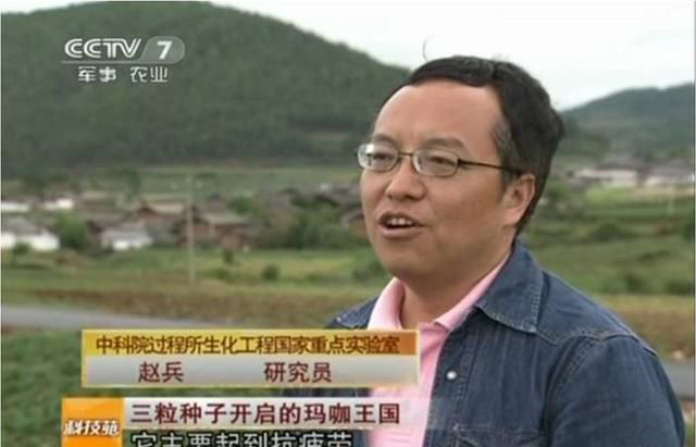 中国科学院赵兵教授谈玛咖（四）玛咖的食用及食用方法
