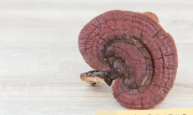 分享常用抗癌中药——灵芝，补气安神，止咳平喘，改善疲乏虚劳！