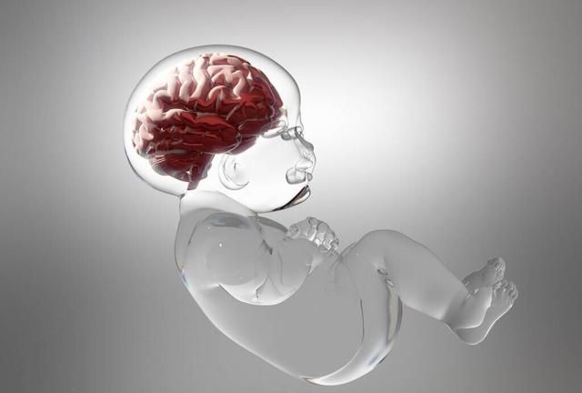 小孩子吃什么油有利于大脑发育,宝宝吃什么油对大脑发育好图5