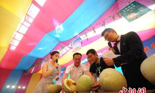 山西万荣苹果树枝种香菇 慈禧钦点贡品百人同食