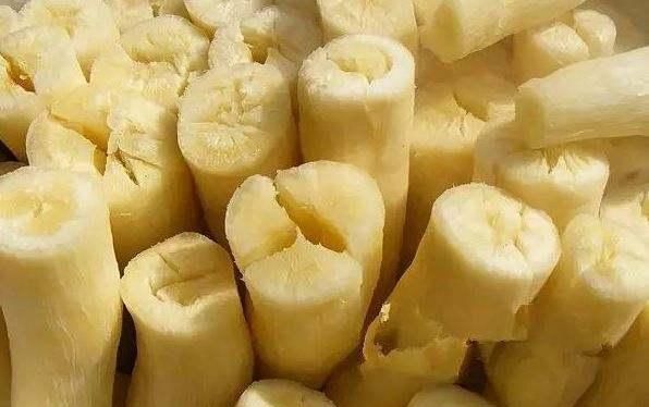木薯不能随便食用？吃错了容易食物中毒？看看营养师都怎么做