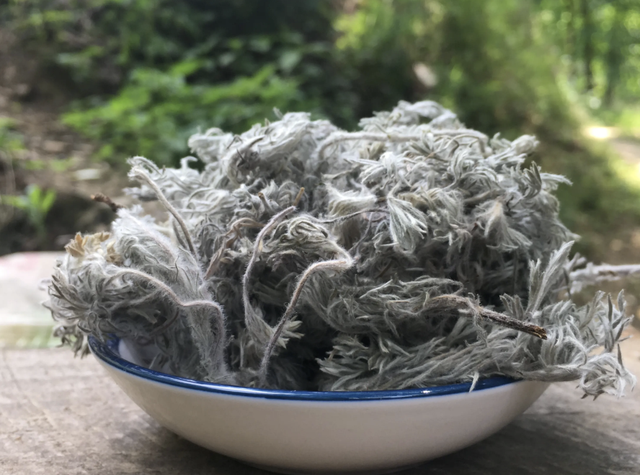 嫩芽卖得比肉贵，人称黄金菜，特别罕见，麦田里看到它，拿袋子装