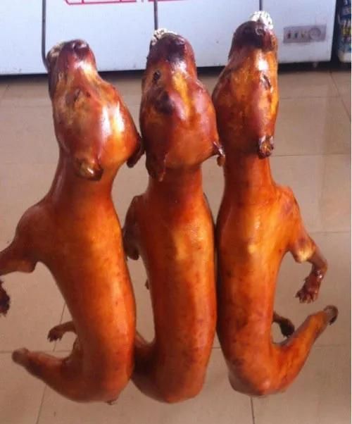 夏至节大家一起去玉林吃狗肉吧