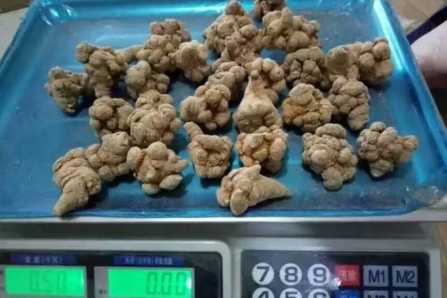 文山三七这么好，带你全面的认识下，收藏