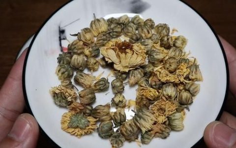 菊花和金银花怎样搭配才好呢,四季菊花怎么搭配