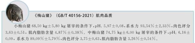 梅花肉、五花肉、元宝肉……我们都在吃猪猪的什么部位？