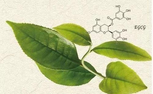 抗癌的微量元素