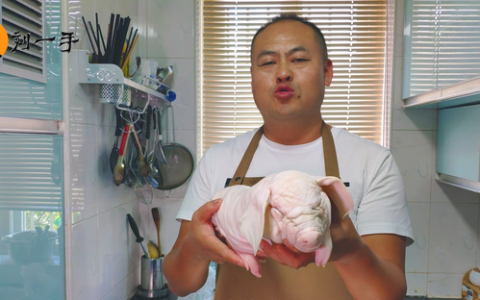 烤乳猪最小的有几斤