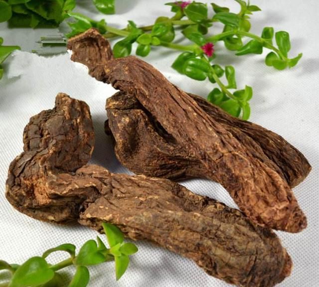 补肾吃啥最好？中医推荐这两味药材，效果好告别“快男”！