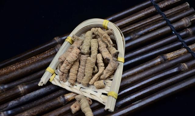 现代医学研究：巴戟天的功效与作用，化学成分与药理作用