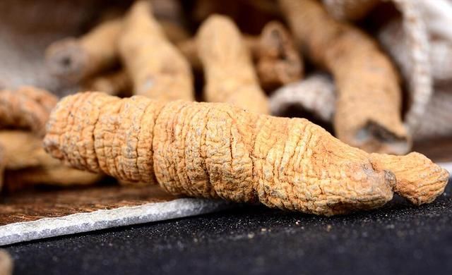 现代医学研究：巴戟天的功效与作用，化学成分与药理作用
