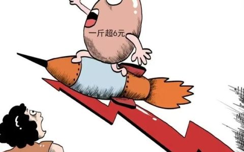 猪价上涨后蛋价会涨吗