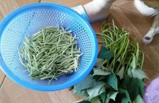 红薯收获后红薯藤如何处理(怎么处理地里的红薯藤)图2