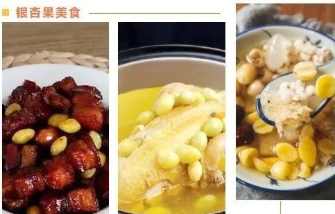 如何科学食用银杏果？这份指南记得收藏