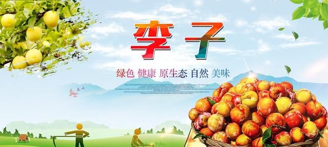 夏秋吃李子，保健作用广泛，吃法多样，它还可入馔，但却不可多吃