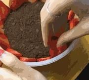 抖音流行美食最全攻略教程 简单易做又好吃 再也不点外卖了