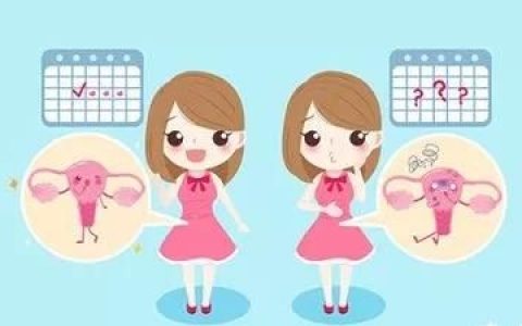 常做卵巢保养可以杜绝卵巢早衰吗
