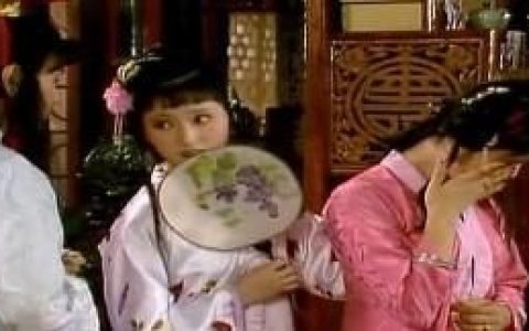 林黛玉与雪芹(林黛玉和雪芹生日)