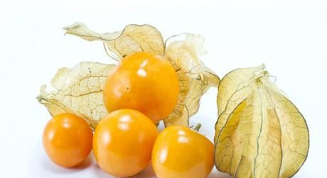 这些果子是海南人儿时的回忆，你都吃过几种？