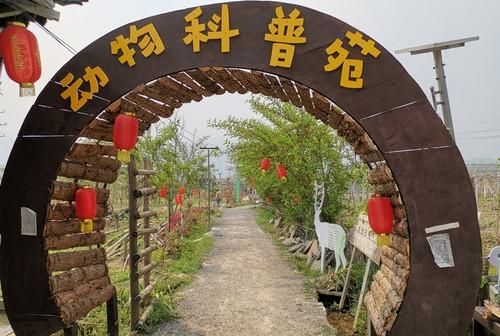 极边之地的“鸵鸟人生”