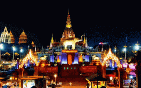 油炸青苔是什么菜(云南炸青苔)