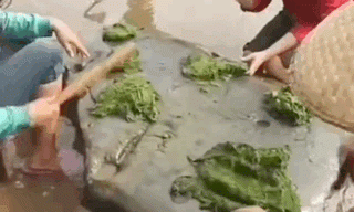 没吃过云南的炸青苔，你不会明白什么才是终极野菜
