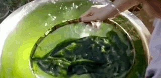 没吃过云南的炸青苔，你不会明白什么才是终极野菜