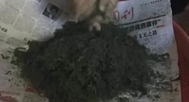 没吃过云南的炸青苔，你不会明白什么才是终极野菜