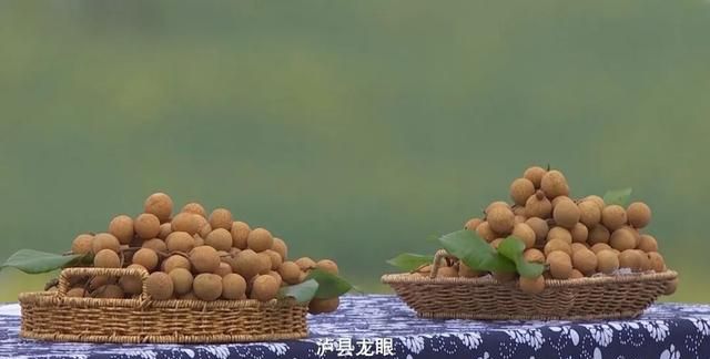 好物节-四川泸县龙眼|用龙眼做成的美食，你吃过几种？