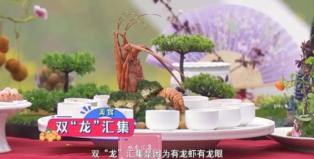 好物节-四川泸县龙眼|用龙眼做成的美食，你吃过几种？