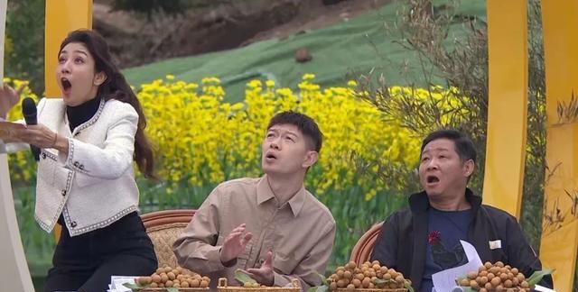 好物节-四川泸县龙眼|用龙眼做成的美食，你吃过几种？