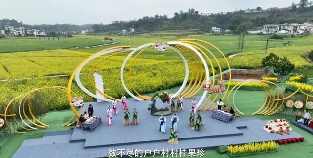 好物节-四川泸县龙眼|用龙眼做成的美食，你吃过几种？