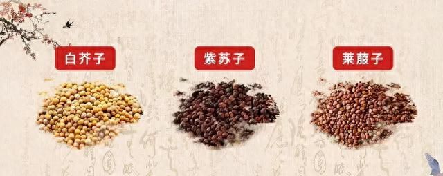 每天学习一味中药——白芥子