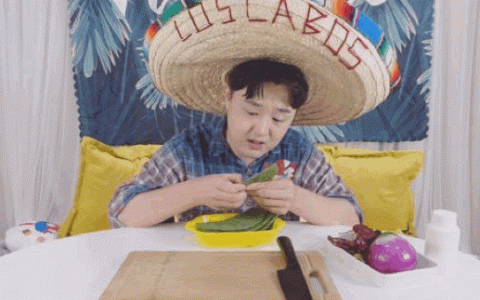 墨西哥仙人掌菜怎么吃最好(凉拌墨西哥仙人掌的步骤)