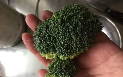 西兰花怎么给宝宝吃最好,西兰花适合宝宝吃吗