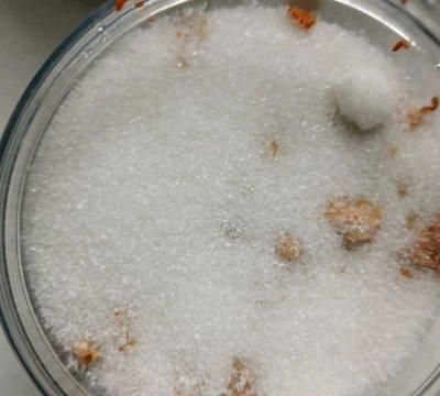 说起家常菜，桂花蜜酱不能少