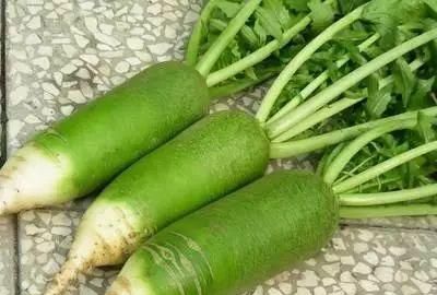 这样甜脆的沙窝萝卜，满口香甜汁根本停不下来
