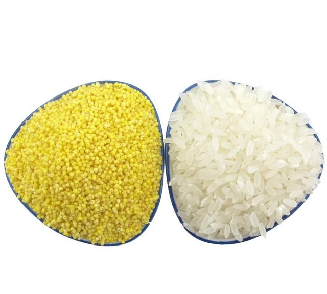 小米和大米怎么煮好吃又营养图7