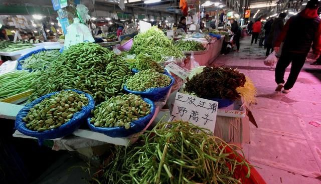 清明时节雨纷纷，又到了吃菊花脑的季节