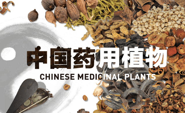 林草科普|中国药用植物 - 肉苁蓉