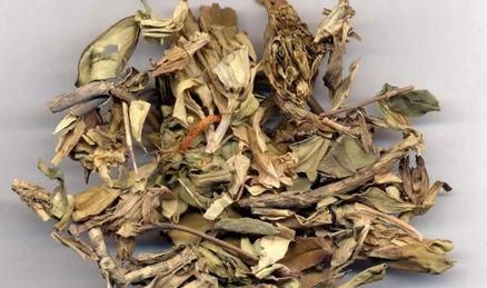 治疗口苦症，我推荐这个专方！