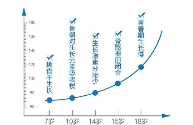 10岁以上青少年，夏季常这样吃三七，有增高的作用