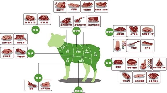 羊身上的唯一一块活肉,羊身上什么部位有一片薄薄的脆骨图4