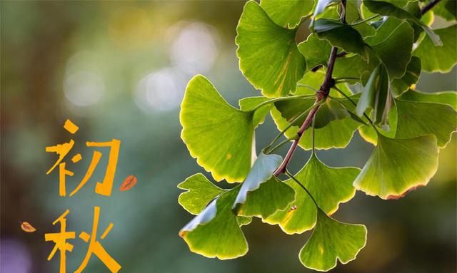 入秋后要懂忌嘴，建议少吃炒菜，推荐6种适合秋天的蒸菜，防秋燥